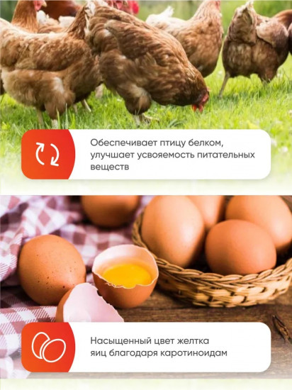 Добавка кормовая «Желток»