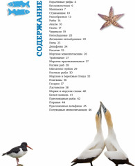 Подводный мир - Фото 1