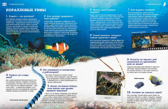 Подводный мир - Фото 2