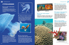 Подводный мир - Фото 3