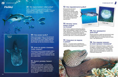 Подводный мир - Фото 4
