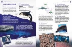 Подводный мир - Фото 6