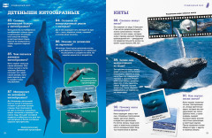 Подводный мир - Фото 7