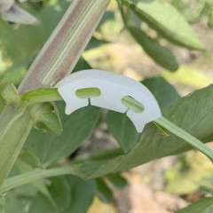 Набор кистедержателей «Улитка» - Фото 3