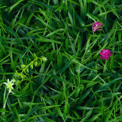 Панель декоративная «Цветочный луг» - Фото 2