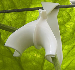 Набор кистедержателей для вьющихся растений «Крюк» - Фото 1