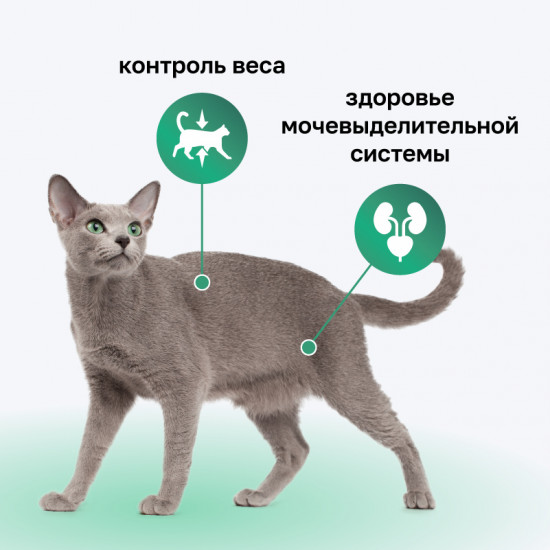 Корм для стерилизованных кошек с кроликом