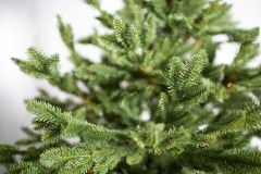 Ель комнатная «Датская», 150 см - Фото 1