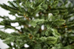 Ель комнатная «Датская», 150 см - Фото 3