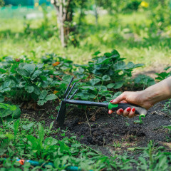 Мотыжка комбинированная - Фото 3