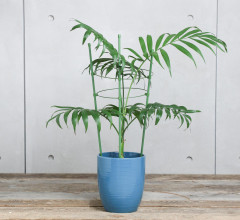 Кустодержатель - Фото 3