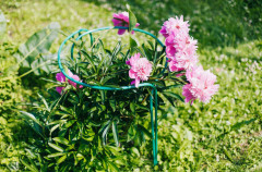 Набор кустодержателей - Фото 1