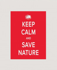 Сумка-шоппер - Фото 1