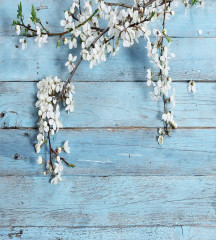 Набор салфеток сервировочных «Ветка вишни на деревянных досках» - Фото 4