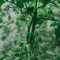 Проволока подвязочная - Фото 1