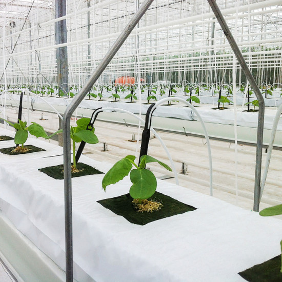 Субстрат минераловатный