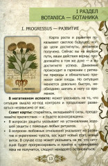 Оракул Войнича. Voinich Oracle - Фото 4