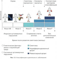 Ревматоидный артрит. Руководство для врачей - Фото 8