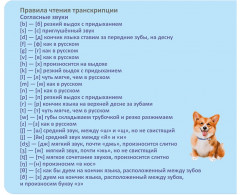 Мои первые английские слова. Формируем активный словарный запас - Фото 5