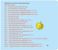 Мои первые английские слова. Формируем активный словарный запас - Фото 6