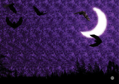 Альбом для тренировки зрения - Фото 3