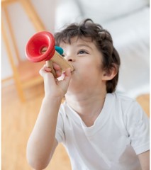 Деревянный музыкальный инструмент «Казу» - Фото 1