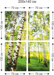 Фотообои «В березках» - Фото 2