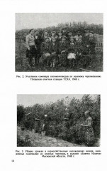 Зелёное черенкование садовых и лесных культур. Теория и практика - Фото 2