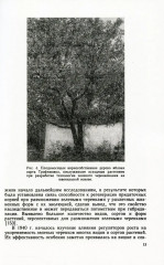 Зелёное черенкование садовых и лесных культур. Теория и практика - Фото 3