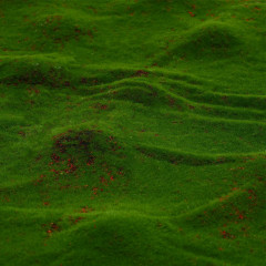 Мох искусственный - Фото 2