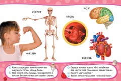 Человек - Фото 2