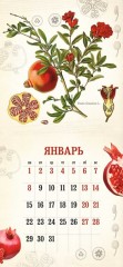 Календарь 2018 «Ботанический атлас» (настенный) - Фото 1
