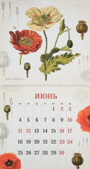 Календарь 2018 «Ботанический атлас» (настенный) - Фото 2