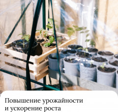 Парник-стеллаж - Фото 6