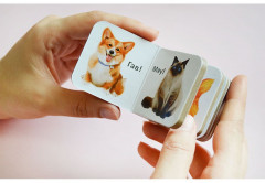 Мир вокруг меня - Фото 7