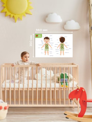 Мои первые развивающие плакаты - Фото 2