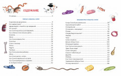 Все об умной и знаменитой собачке Соне - Фото 3