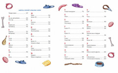 Все об умной и знаменитой собачке Соне - Фото 4