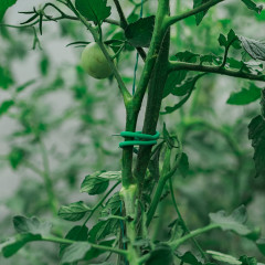 Проволока подвязочная - Фото 1