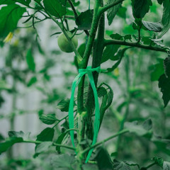 Шпагат для подвязки растений - Фото 3