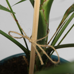 Шпагат джутовый двухниточный - Фото 2