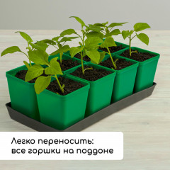 Набор для рассады - Фото 6