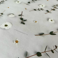 Бумага упаковочная матовая «Изысканность» - Фото 2