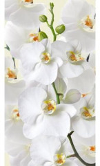 Картина на деревянном подрамнике «Белая орхидея» - Фото 1