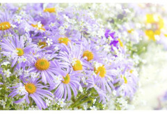 Картина на деревянном подрамнике «Чудное мгновение» - Фото 1