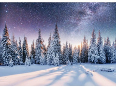 Картина на деревянном подрамнике «Зимний лес» - Фото 1