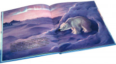 Как медвежонок солнце искал - Фото 3