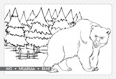 Бояу кітапша. Ормандағы серуен. Раскраска. Лесная прогулка. Painting. Forest-walking - Фото 1