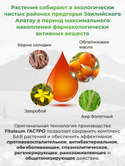 Фито-масло «Гастро» - Фото 3