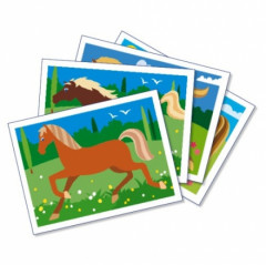 Песочные картинки «Лошади» - Фото 1